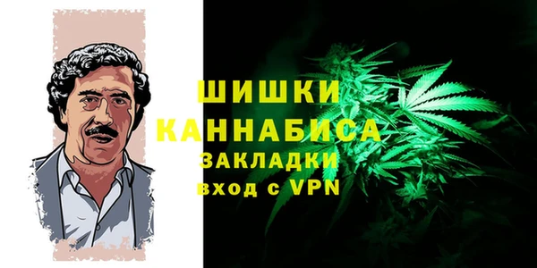 твердый Аркадак