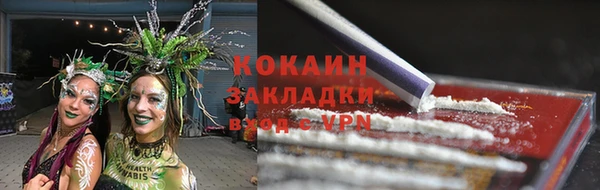 твердый Аркадак