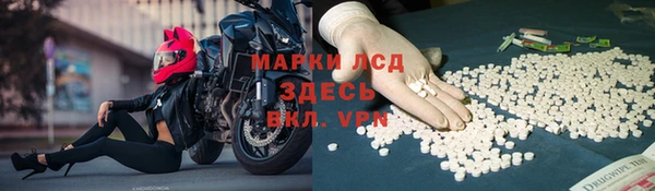 твердый Аркадак