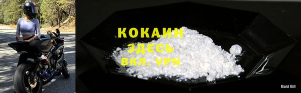 твердый Аркадак