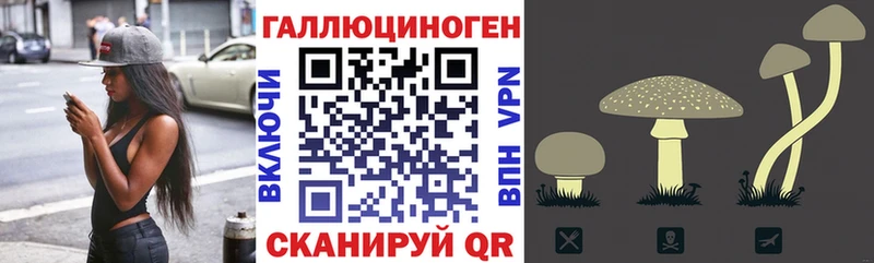 Псилоцибиновые грибы Psilocybe  Холмск 
